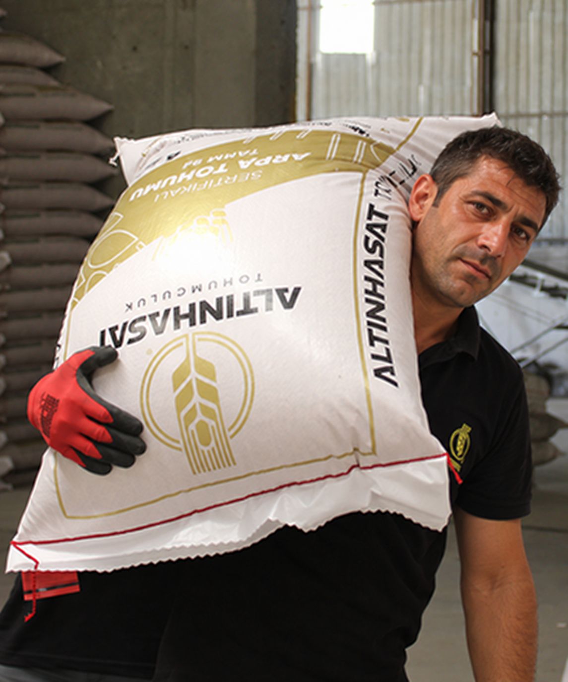 altınhasattohum, altın hasat tohum, altınhasat tohum, tohum konya, altınhasat konya, altınhasat tohum ve gübre, çiftçi tohum, çiftçilik, tohumuculuk, konya tohum gübre ilaç, konya tarım firmaları, altınhasat tarım, ilaç sanayi, kafalı tohum, kafalı tohumculuk konya, servet kafalı, mustafa kafalı, konya tohum ve gübre işletmeleri, ali kafalı, alp tarım,tohum,gübre,ilaç,satış,zirai,tahıl,ekmeklik,makarnalık,kuru fasulye, silajlık, üretici, üretim, acar ekmeklik buğday, durusa makarnalık buğday, tarm-92 konya, larende tohum, burakbey arpa tohumu, arpa tohumu, mısır tohumu, pancar tohumu, ayçiçek tohumu, ekmeklik buğday tohumu, ilaçlama